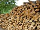 ecoworxx pelletpers basismateriaal houtblokken